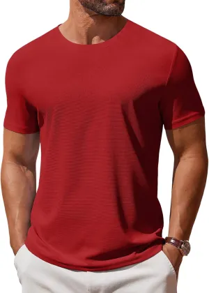 COOFANDY Men's T Shirt Short Sleeve Crew Neck T-Shirt Casual Summer Classic Basic Tee Shirts