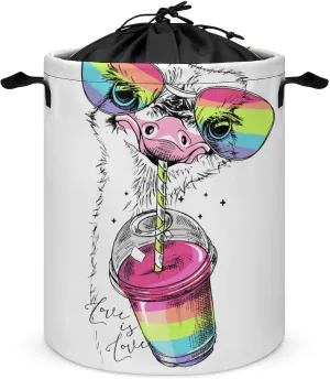 Funny Ostrich Rainbow Glasses Laundry Hamper Cartoon Cute Animal Laundry Basket with Drawstring Collapsible for Boys Girls Bedroom Bathroom Toys Oganizer